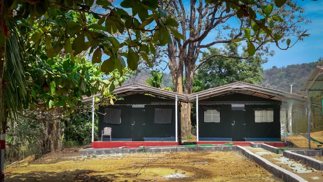 Dandeli Wild Jungle Resort