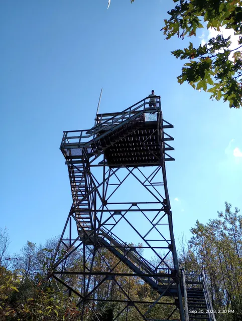Bickle Knob Observation Tower