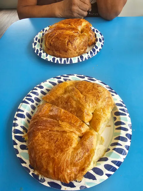 photo-1