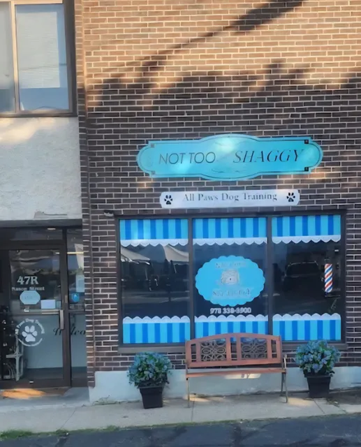 All Paws Dog Training