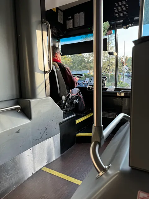 Disney Bus Transportation