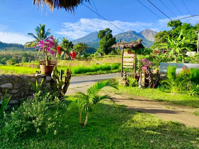 Bale Sebaya Bungalow Cafe Nature