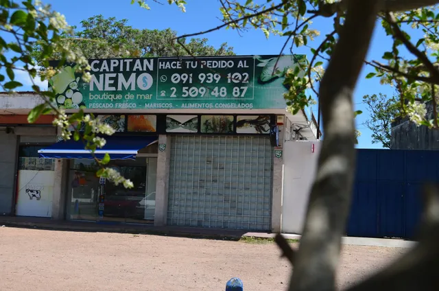 Pescaderia Capitan Nemo