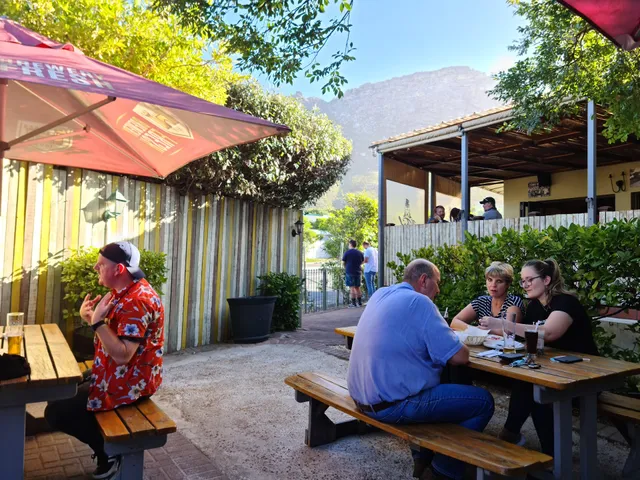 The Toad on the Road