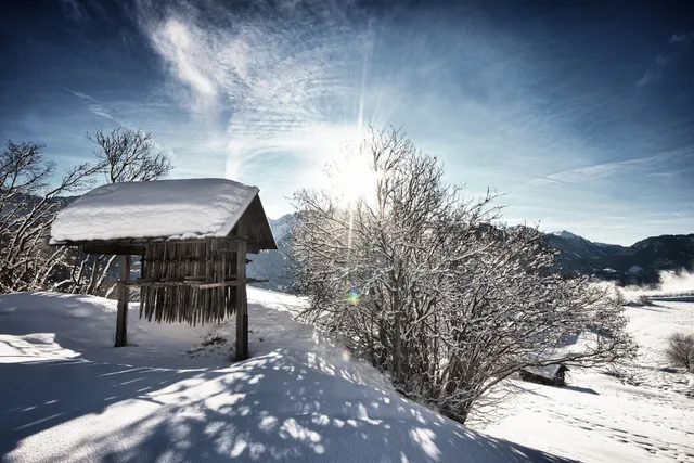 Slow Living Suite | Das Unikat mit privater Sauna | Ferienwohnung in Fiss