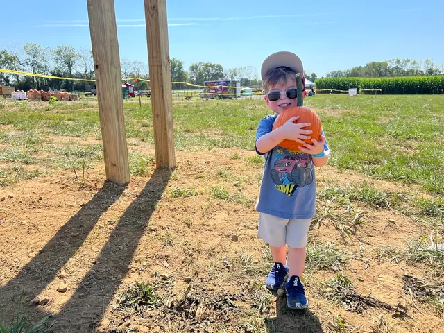 Valley Fruits & Veggies