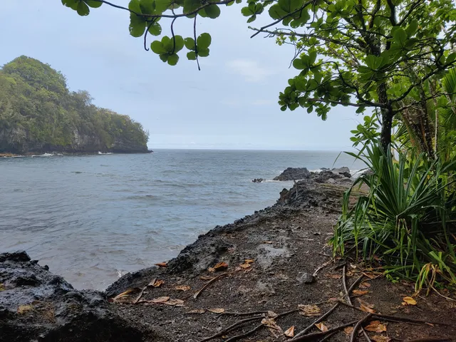 Donkey Trail Trailhead