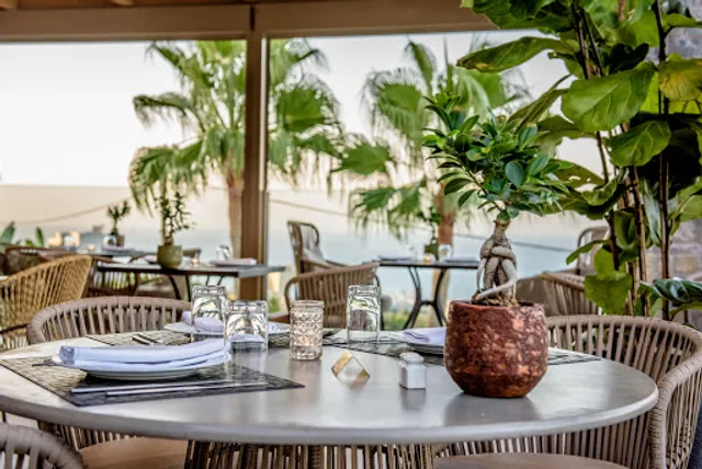 Blue Moon Restaurant - Wine& Bar