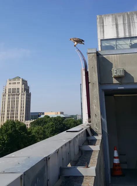 Fulton Superior Court Clerk