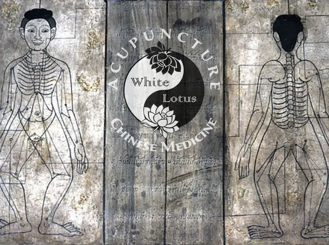 White Lotus Acupuncture & Chinese Herbal Medicine