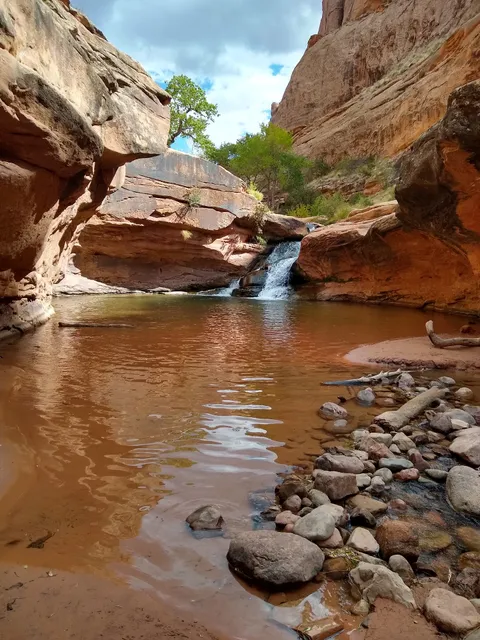 Mill Creek North Fork Trailhead