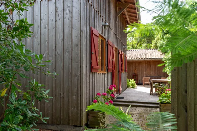 Les Mimosas Cap-Ferret