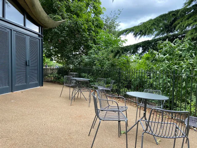 Colicci Serpentine Coffee House