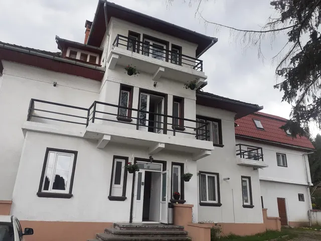 Vila Codreanu Bran