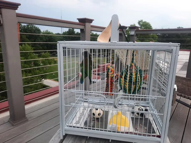 Dodson's Farm Market