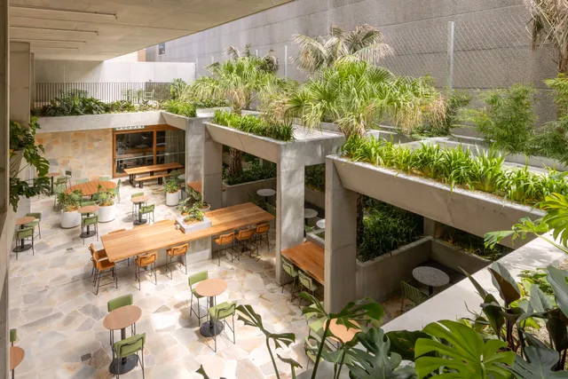 lyf Bondi Junction Sydney