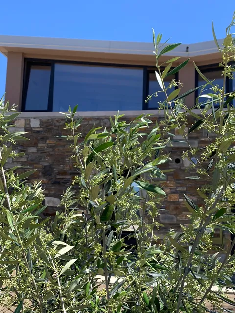 etheres living in nature