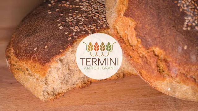 Panificio Termini Antichi Grani - Pane Nero di Castelvetrano