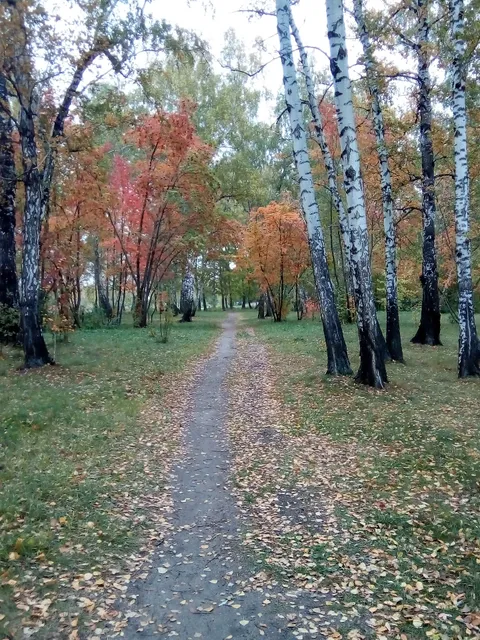 Парк культуры и отдыха им.30 лет ВЛКСМ