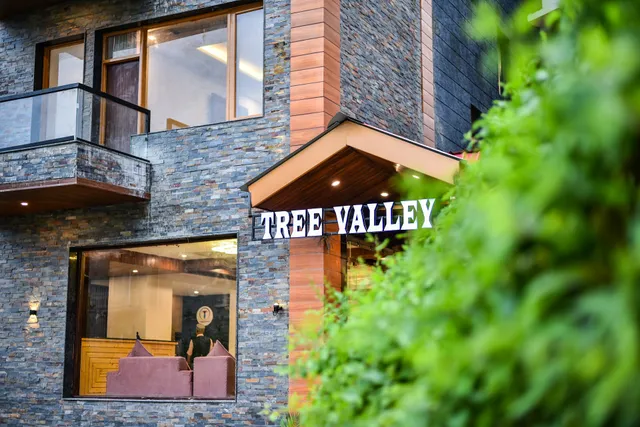 Tree Valley By Terraa Hotels Manali