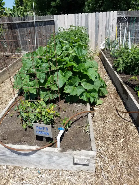Elk Grove Community Garden