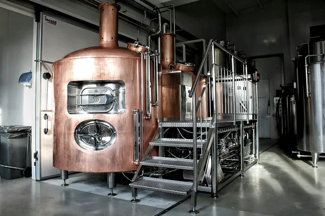 BiRen - Birrificio Renazzese s.r.l.