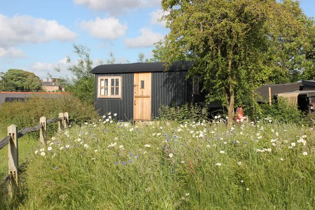 Elsie's Shepherds Hut