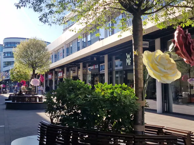 Asia Bambus Montabaur in Montabaur, Germany - reviews,open hours,photo  spots, things to do | WanderBoat AI Trip Planner