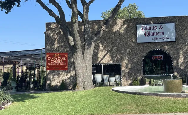 Candy Cane Corner at Plants & Planters
