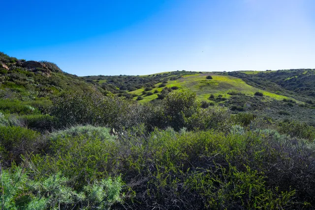 Bommer Vista Trailhead
