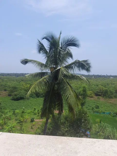 Sua Casa - Rooster de Goa