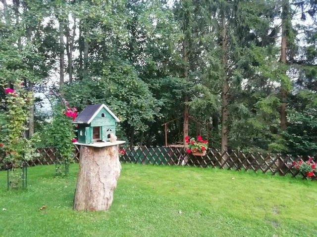 Pensiune ALIN TANNENHOF