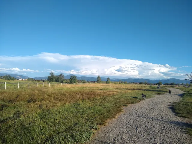 Dog Park At Gallatin County Regional Park (13 Acre w Pond)