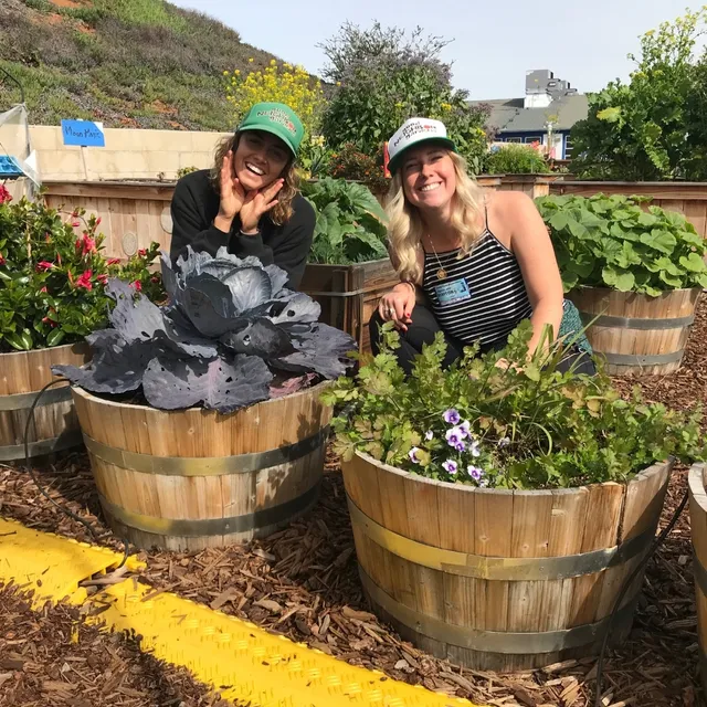 Good Neighbor Gardens