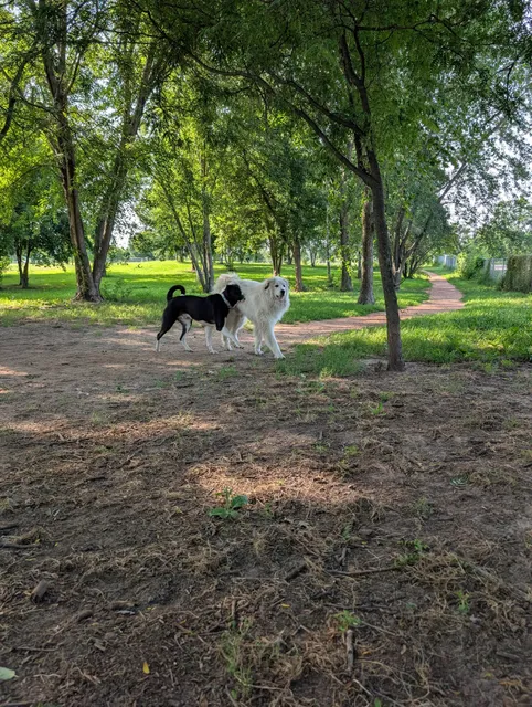 Otter Creek Off-Leash Dog Park