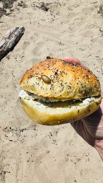 Bagel Hound Ptown