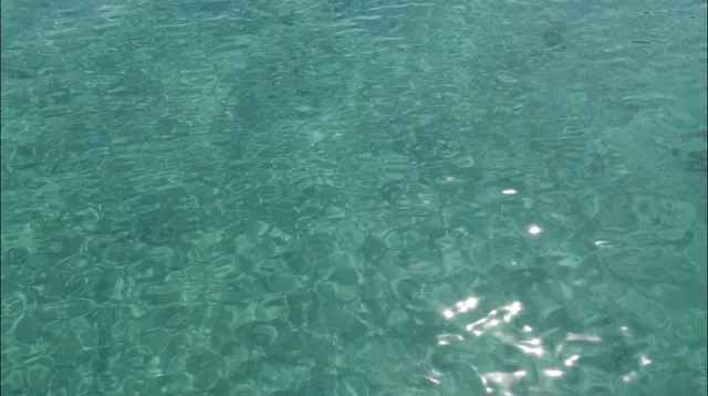 Green Lagoon - Apartments Beritić