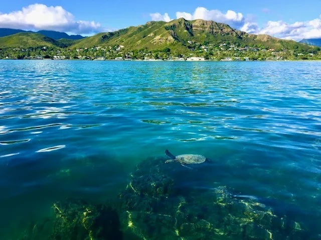 Lanikai Beach Rentals