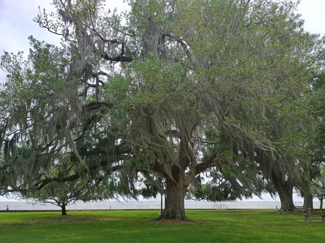 Northshore Lakefront