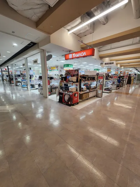 Yamada Denki Tecc Land