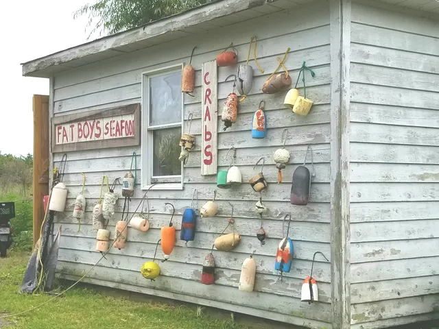 Eduardo's Taco Stand