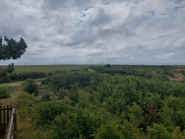 photo-1