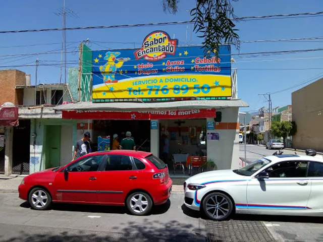 Sabor Encantado Birria de Pollo