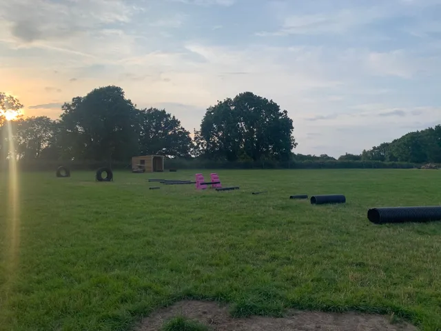 Larches Dog Fields Thornbury