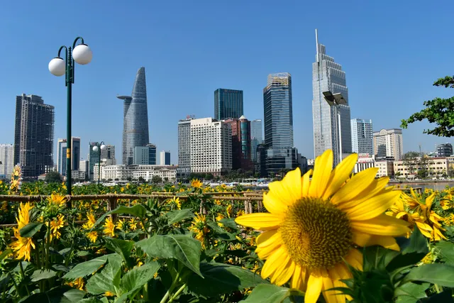 Saigon riverside park