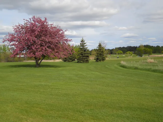 Pine City Country Club