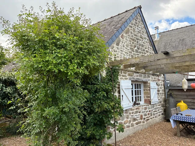 Le Petit Poisson Vert