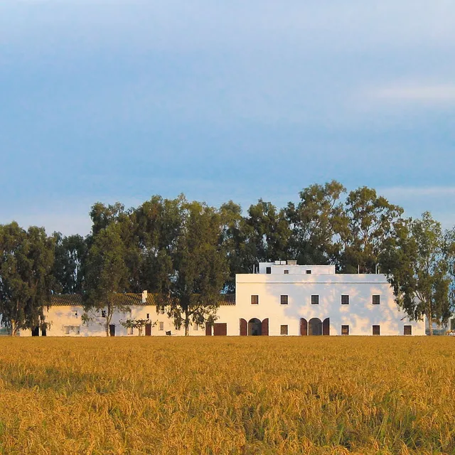 Mas Illa de Riu (Comandanta)