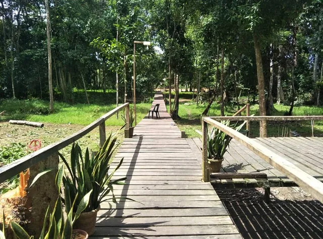 Kinabatangan Sunshine Lodge