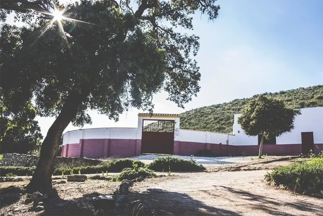 Houses Cortijo La Cañada